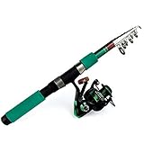 WENMENG2021 Teleskop-Angelruten Angelrute Combo Teleskop Angelrute und Spinning Angelrolle Fischerei Set Karpfen Angelrute Rolle Kit Reise Angelrute (Color : Rod with Black Reel, Length : 3.0 m)