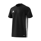 adidas Herren Trikot Campeon 21, Black, L, FT6760
