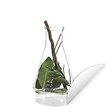 Fototapete Rund und selbstklebend - Fototapete - Rund - Lakritzpflanze gefangen in einem Glasbecher - Ø 100 cm - Selbstklebend - Tapete - runde Wandtapete/Wandbild/Wandbelag