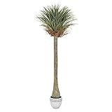 MULTI CASA MEX CH06718937 künstlicher Topfbaum Yucca H.225 grün, Kunststoff, Polyester, Extra b