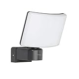 Oktaplex Lighting LED Außenstrahler Außen Cali 30W | Wand Strahler IP65 3000K warmweiß | F