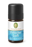 PRIMAVERA Frische Luft Duftmischung 5 ml -Pfefferminze, Zitrone und Myrte - Aromaöl, Duftöl, ätherisches Öl Aromatherapie - klärend - veg