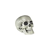 Widmann 01379 - Totenkopf aus Kunststoff, Größe circa 21
