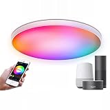 ANKBOY RGB LED Deckenleuchte Dimmbar mit Fernbedienung APP-Steuerung WIFI Farbwechsel Rund Alexa Leuchte 2700K~6500K Musik Deckenleuchte mit Bluetooth-Lautsprecher für Schlafzimmer Küche B