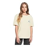 Quiksilver Womens Standard Tee (Pastel Yellow, X-Small)