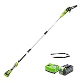 Greenworks Akku-Hochentaster G40PSF+ Li-Ion 40V 6Ah wiederaufladbarer leistungsstarker Akku +passend für alle Geräte und Akkus der 40V Greenworks Tools S