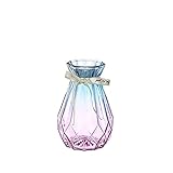YSJJNDH Vase Dekoration Glas Vase Room Dekoration Blume Topf Farbe Kristall Hydroponische Pflanze Blume Anordnung Desktop Handwerk (Color : C-3)