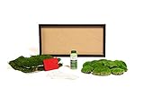 DIY Moosbild selber Machen, Wandbilder selber kleben, Moosbilder selber gestalten, Do it Yourself Set Moos kleben Wanddeko selbst herstellen (Schwarz, 60x30 cm)