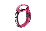 JULIUS-K9, 100HA-K-PN-2015 Color & Gray K9-Halsband mit Haltegriff, Sicherheitsverschluss und Logo, 40 mm*38-53 cm, verstellbar, pink-g