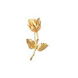 Elegant 24k Vergoldete Brosche Für Herren Anzug Hochzeit Bräutigam Jewelry - Gold-gelb