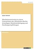 Mitarbeitermotivation in einem Unternehmen des öffentlichen Rechts. Grundlagen, Mitarbeiterbefragung und Handlungsempfehlung