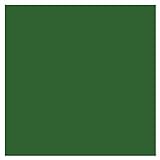 Horizon 5L Laub-grün Ähnl. RAL 6002 Betonfarbe Bodenfarbe Bodenbeschichtung| Garagenfarbe, Kellerfarbe, Fußbodenfarbe für Beton, Zement, Holz, Metall | Farbe für Außen und I