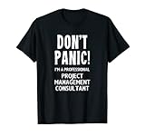 Projektmanagement-Berater T-S