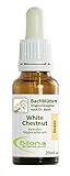 Joy Bachblüten, Essenz Nr. 35: White Chestnut; 20ml Stockb