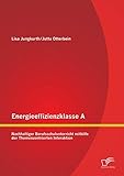 Energieeffizienzklasse A: Nachhaltiger Berufsschulunterricht mithilfe der Themenzentrierten Interaktion: Nachhaltiger Berufsschulunterricht mithilfe der Themenzentrierten Interak