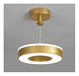 Liuyi 12W Kreative Wandleuchte LED Runde Deckenleuchte Acryl Goldene Pendelleuchte Moderne Einfache Deckenleuchte Korridor Eingang Küche Korridor Balkon Loft Schlafzimmer Overhead-Beleuchtung warmes L