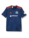 adidas Hamburg SV Saison 2020/21 Auswärtstrikot Unisex Erwachsene M Mehrfarbig (Maruni/índmed/Narbri)
