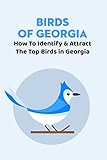 Birds of Georgia: How To Identify & Attract The Top Birds in Georgia: Birds of Georgia Field Guide (English Edition)