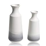 TERESA'S COLLECTIONS Vasen Beige Grau Keramik Blumenvasen mit Farbverlaufseffekt für Wohnzimmer, Küche, Tisch, Zuhause, Büro 25/30cm 2er S