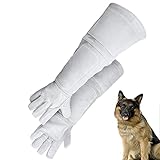 SS Anti- Kratzer Anti- Biss Wasserdichte Handschuhe,Anti-Biss/ Kratzer Gardening Wildtiere Schutzhandschuhe Für Katze Und Hund Lederhandschuhe,Anti-Biss/ Kratzer Gardening Wildtiere S