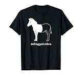 Defragged Zebra IT Admin Gamer Computer Informatik Geek T-S