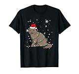 Schottische Katze mit Weihnachtsmann-Mütze T-S