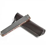 Harmonica, 24-Loch Polyphone Mundharmonika ACFG Melodie,Cadeau Pour Débutants, Adultes, Enfants Et Étudiants (Color : Silver)