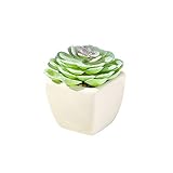 strimusimak Künstliche Blumen, Sukkulenten, Bonsai, künstliche Pflanzen für Zuhause, Büro, Balkon, Schreibtisch-Dekoration – XS0001