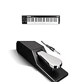 Alesis USB MIDI Controller mit Sustain-Pedal Bundle - 49-Tasten USB MIDI Keyboard Controller mit anschlagsdynamischen Synth-Action Tasten und universelles Sustain-Pedal mit Piano-Sty