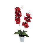 Ziegler Orchidee 2 Rispen Orchideenzweig Phalaenopsis Kunstpflanze Kunst Dekopflanze Topfpflanze Seidenblume Kunstblume Pflanze Blume künstlich unecht Topf Keramik 60 cm rot 1017101-01 getopft F73