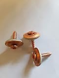 200 Stück Spenglerschrauben 4,5x35 (4,5x25-4,5x80 verfügbar), Dichtscheibe 20mm, Torx 25, Edelstahl A2 verkupfert (Edelstahl V2A, verkupfert, 4,5x35, W20)