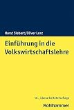 Einführung in die Volksw