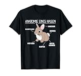 Anatomie eines Hasen lustige Kaninchen Erklärung T-S