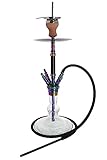 INOX Carbonia Shisha Set V2A Edelstahl Wasserpfeife 68cm 4 Anschlüsse mit Zubehör wie Schlauch Mundstück Kopf Zange (Rainbow/Glow)