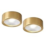 LLLKKK LED-Deckenstrahler Kupfer Innen-Downlight, Deckenmontage-Spot-Leuchten 2er Set, COB-Aufbau-Akzent-Spot-Leuchten für den gewerblichen H
