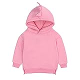 OVERMAL Pullover Sweatshirt Kapuzenpullover Jungen Mädchen Baby Kinder Warm Langarmshirts Einfarbig T-Shirt Kleinkind Herbst Winter Oberbekleidung Tops Beiläufige 6 Monat-4 J