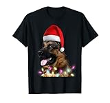 Weihnachts-Hundehütte mit Hirtenmotiv, Weihnachtsmütze, Hirte T-S