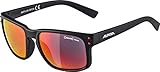 ALPINA Unisex - Erwachsene, KOSMIC Sonnenbrille, black matt, Einheitsgröß