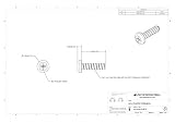M16-60-P-BZ-P Schraube, M1,6 x 6 mm, Kunststoff, verzinkter Stahl, Kreuzschlitz-Antrieb, 100 Stück