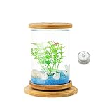 DALIZHAI777 Aquarium Kreative rotierende Desktop-Fischtank Transparente Glasbüro-Haushalts-ökologischer Flasche Kleiner Zierfisch Betta-Fisch-Tank Fischg