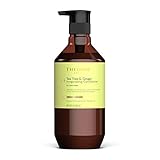 Theorie Tea Tree & Ginger Conditioner 400 ml | Stimulieren & Erneuern | Natürlicher Glanz und Widerstandsfähigkeit | Für alle Haartypen | Schützt Coloriertes und Keratinbehandeltes H