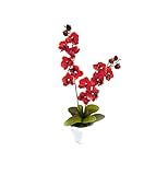 Orchidee 2 Rispen Orchideenzweig Phalaenopsis Kunstpflanze Kunst Dekopflanze Topfpflanze Seidenblume Kunstblume Zimmerpflanze Pflanze Blume künstlich unecht Topf Keramik 50 cm getopft TC-72310 rot F73