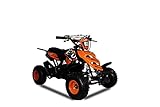 Mini ATV Miniquad Kinder Mini Atv M5 4' Pocketquad Kinderquad Pocketbike Neu Farbe b