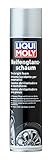 Liqui Moly P001109 MOLY 1609 Reifenglanzschaum 400