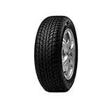 Goodride SW608 (205/55 R16 91H)