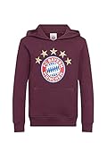 FC Bayern München Kinder Hoodie Logo Bordeaux, 152