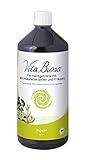 Vita Biosa Ingwer 1 Liter in Bio Qualität - Extra-Portion Ingwer für die erfrischende Geschmacksnote - fermentiertes Lebensmittel auf Basis von Milchsäurebak