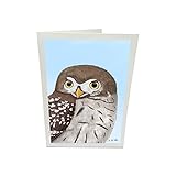 Eule Glückwunschkarte Vogel Zeichnung mit Umschlag
