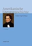 Amerikanische Literaturg