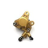 JULAN Fit für Piaggio Typhoon 50 2T GRIMECA TYPHOON50 2000-2004 Original Bremsblock Disc Bremssattel Bremspumpe Motorrad Zubehör Teile LjuL (Color : Gold)